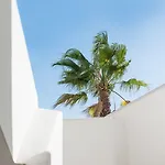 Szálloda Smy Mediterranean White Santorini (adults Only)