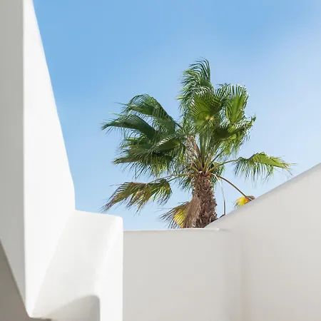 酒店 Smy Mediterranean White Santorini (adults Only)